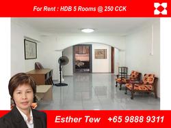 Blk 250 Choa Chu Kang Avenue 2 (Choa Chu Kang), HDB 5 Rooms #119598732